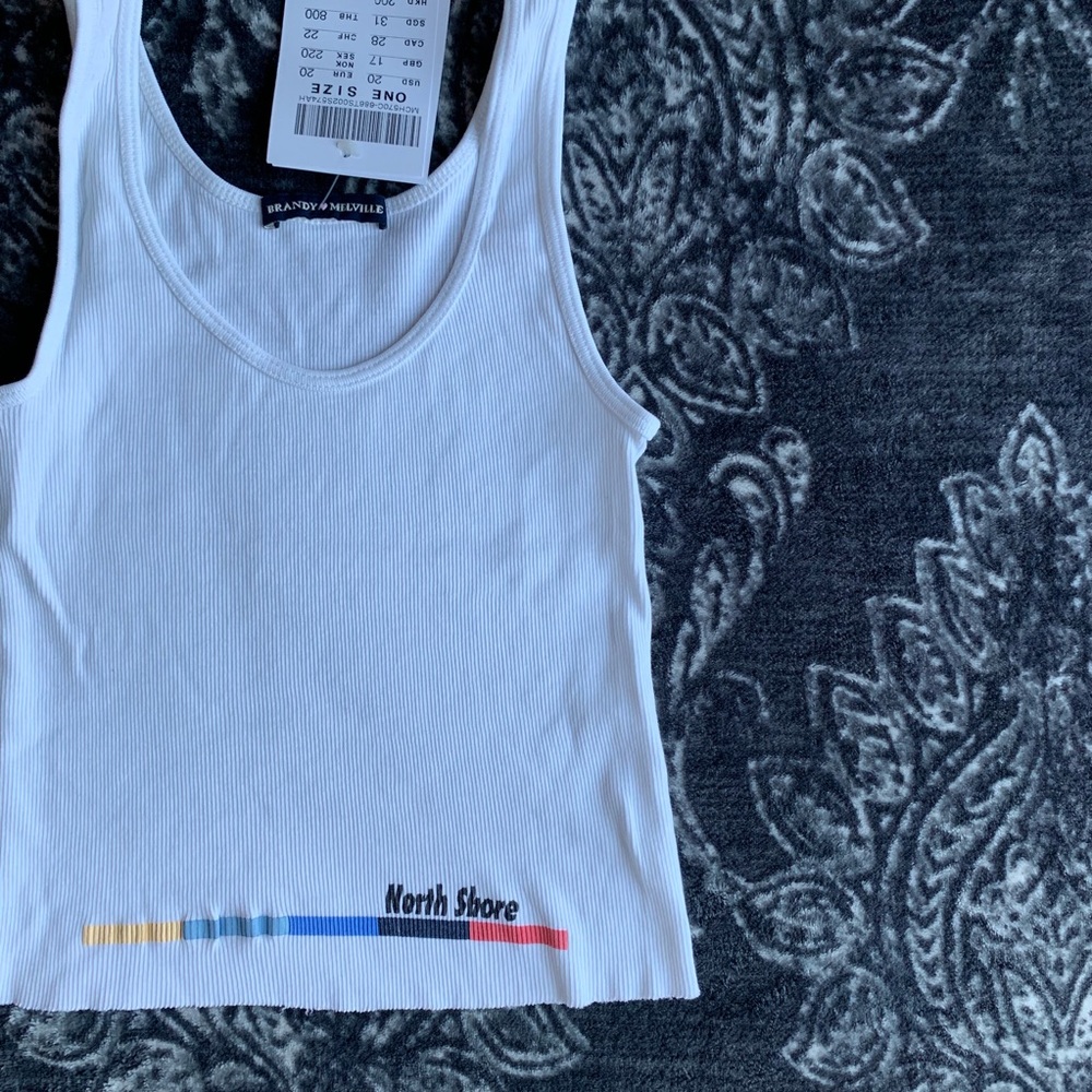 Brandy Melville North Shore Sheena Tank Top - Picture 2 of 5